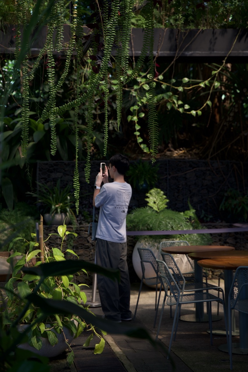 Starbucks Coffee Farm